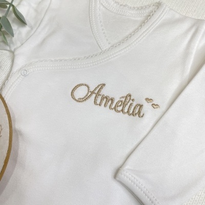 Body&#x20;interior&#x20;Am&#x00E9;lia