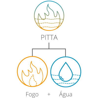 Ícones coloridos representando VATA, PITTA e KAPHA com elementos associados