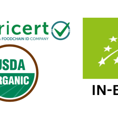 Brahmi&#x20;Gotu&#x20;Kola&#x20;Bio&#x20;Organic&#x20;India&#x2122;-&#x20;90&#x20;c&#x00E1;psulas