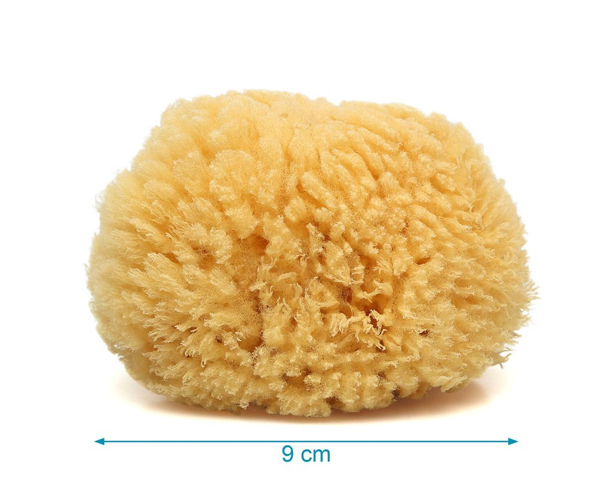 Esponja natural amarela redonda com 9 cm de diâmetro em fundo branco