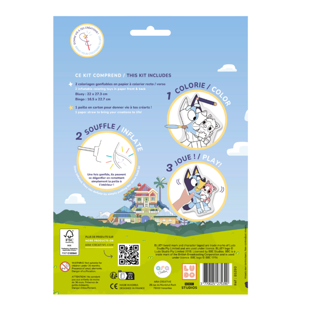Embalagem de kit de colorir com balões e instruções em francês e inglês