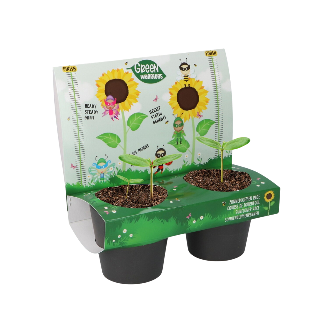 Kit de plantação com duas plantas de girassol em vasos pretos e suporte colorido de cartão