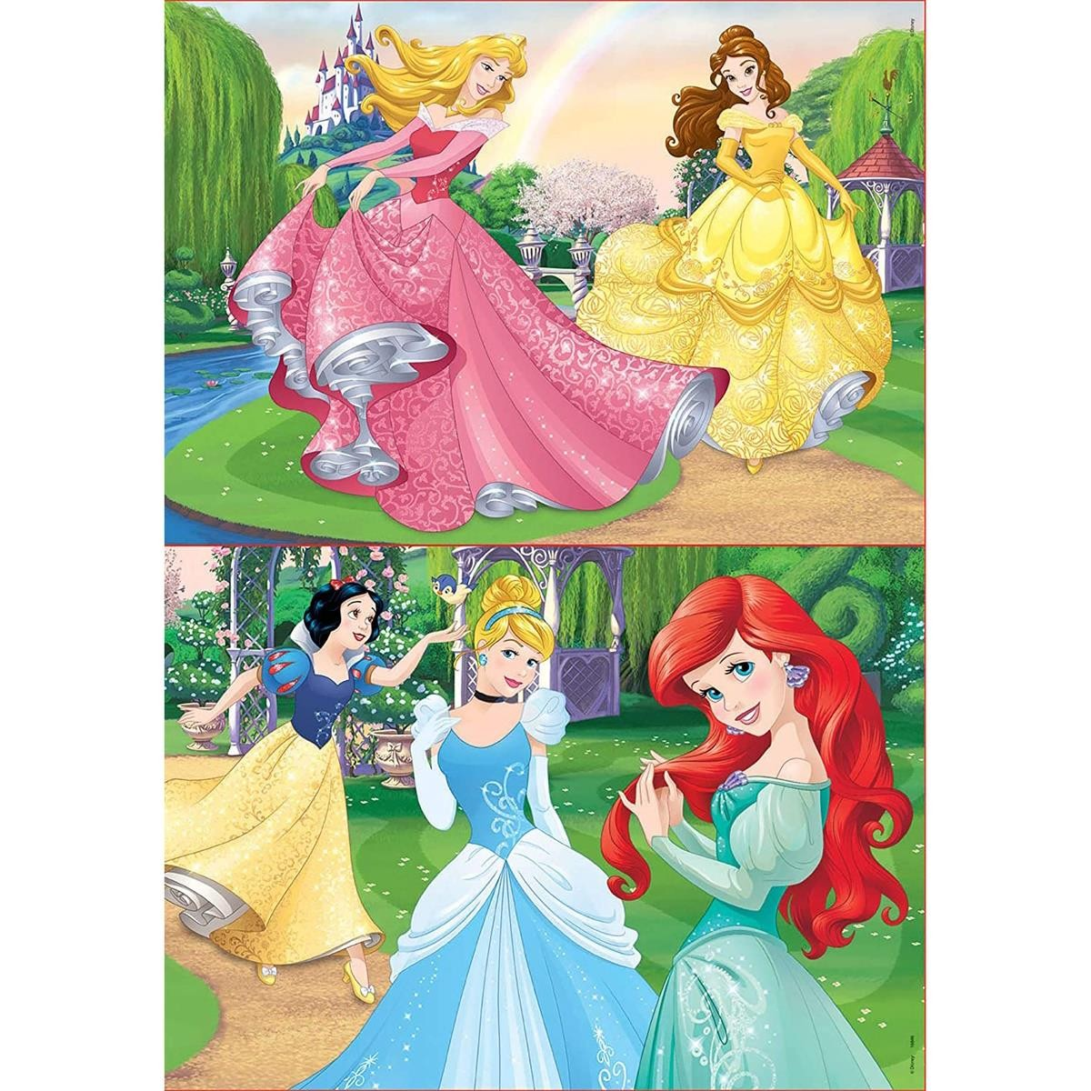 Ilustração colorida de quatro princesas da Disney em jardim com castelo ao fundo