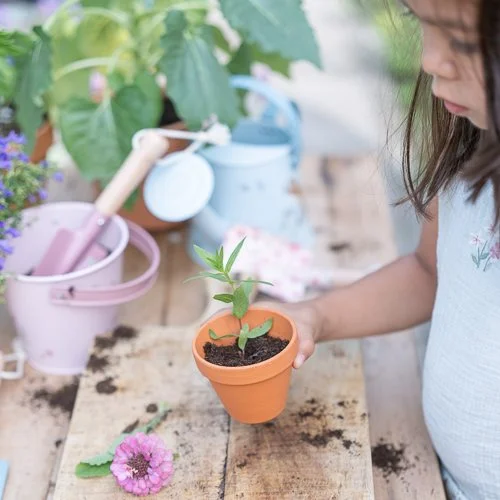 Criança segura vaso de terracota com planta jovem sobre mesa de madeira com terra e ferramentas de jardinagem