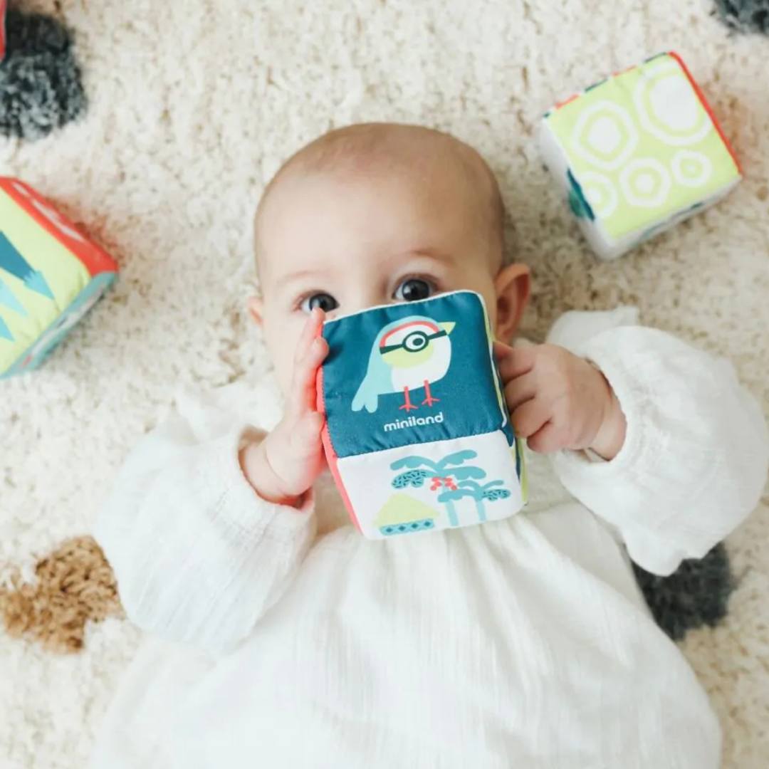 Bebé deitado a segurar cubo de tecido com design de pássaro e texto miniland