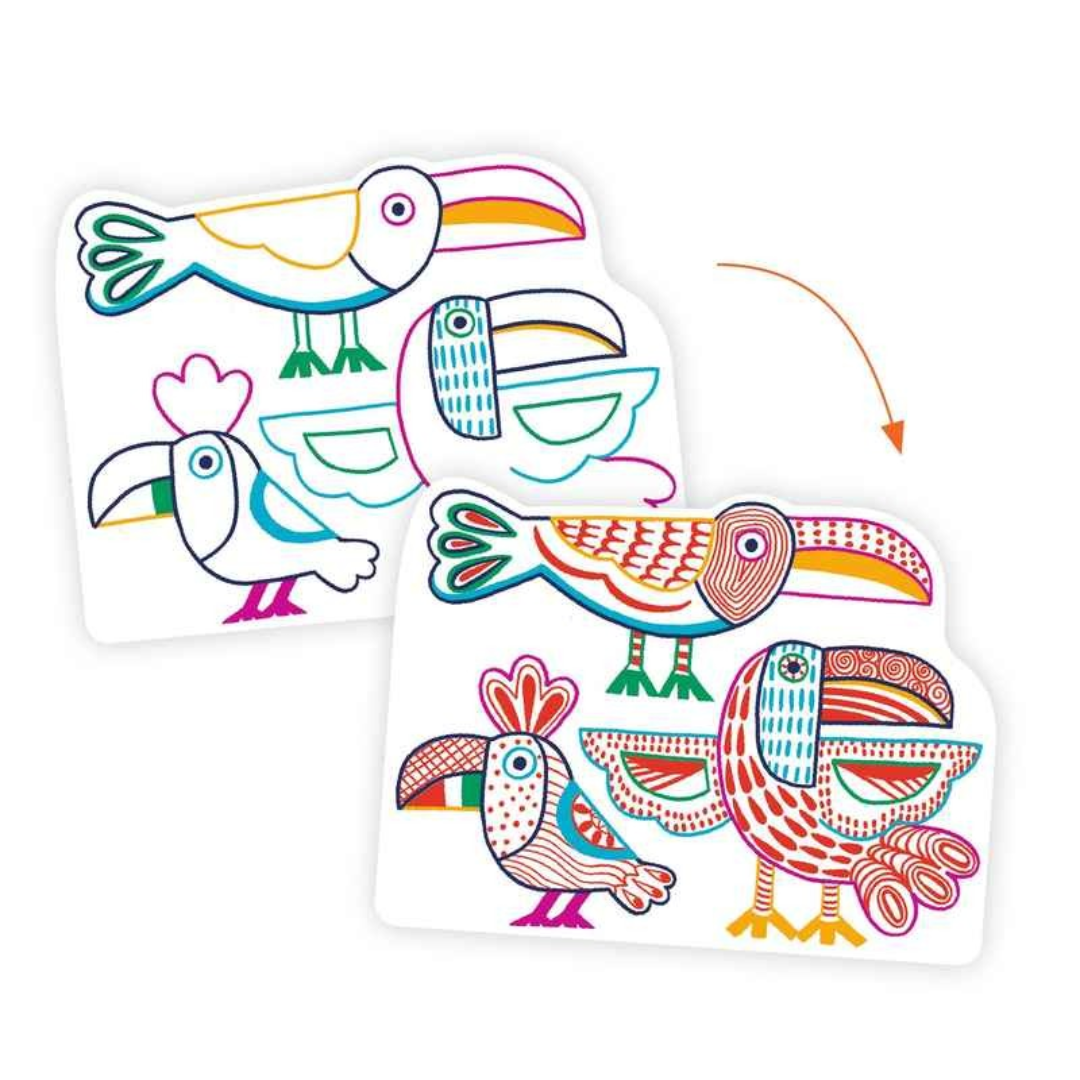 Cartões com ilustrações coloridas de aves em estilos diferentes