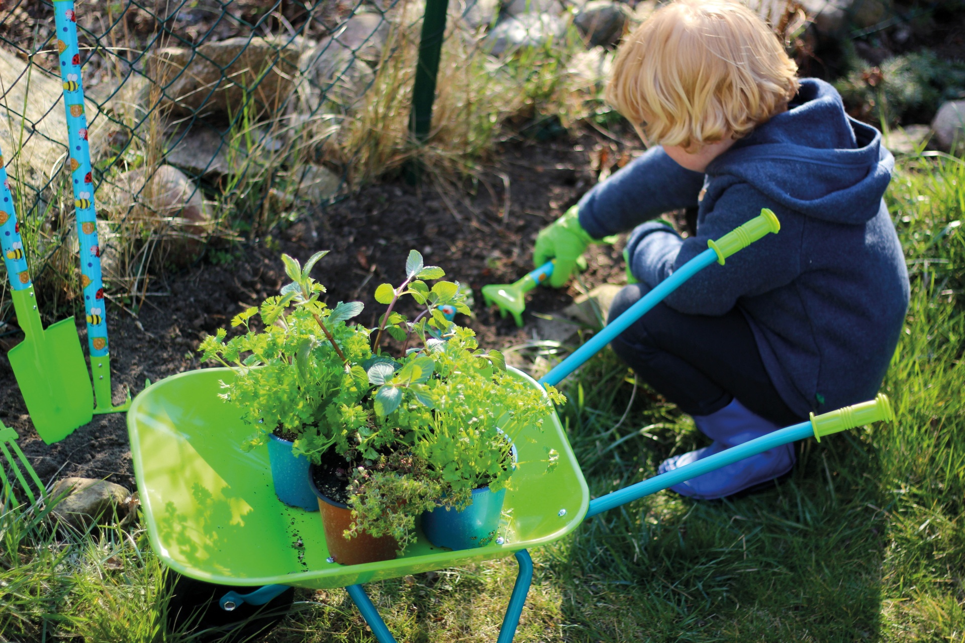 Criança a cavar terra no jardim ao lado de carrinho de mão com plantas em vasos