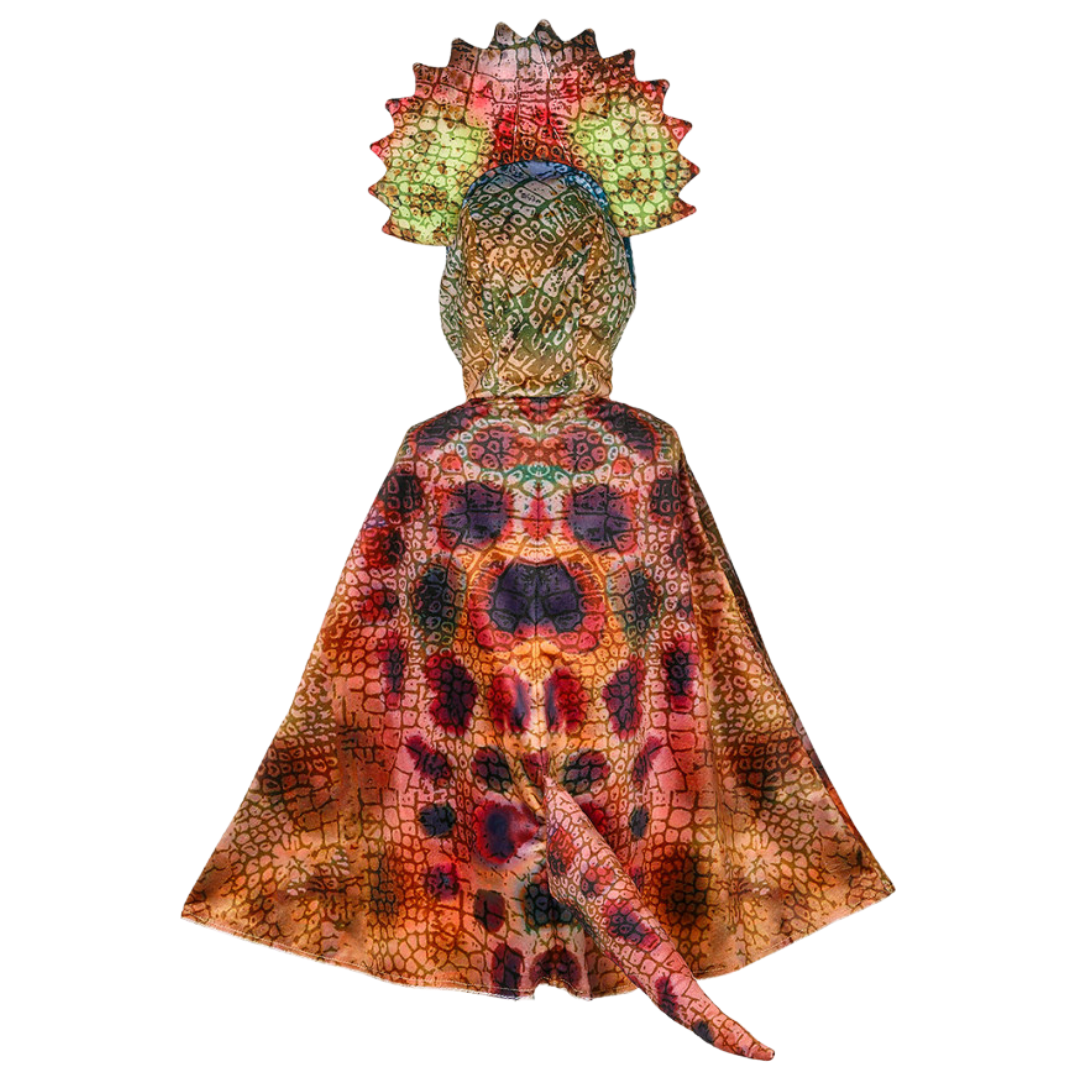 Fato de dinossauro colorido com capuz e crista para criança