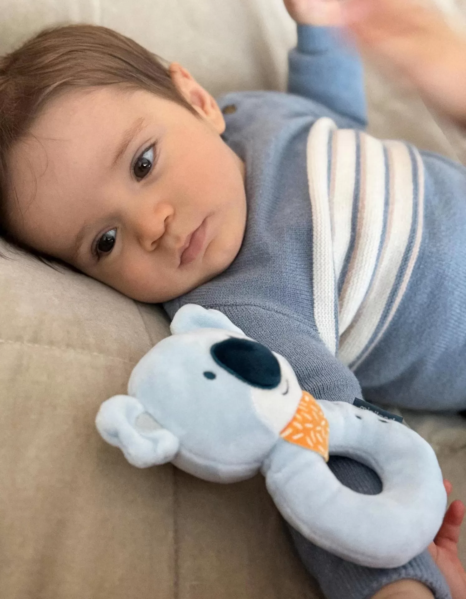 Bebé deitado com roupa azul e brinquedo de coala cinzento claro.
