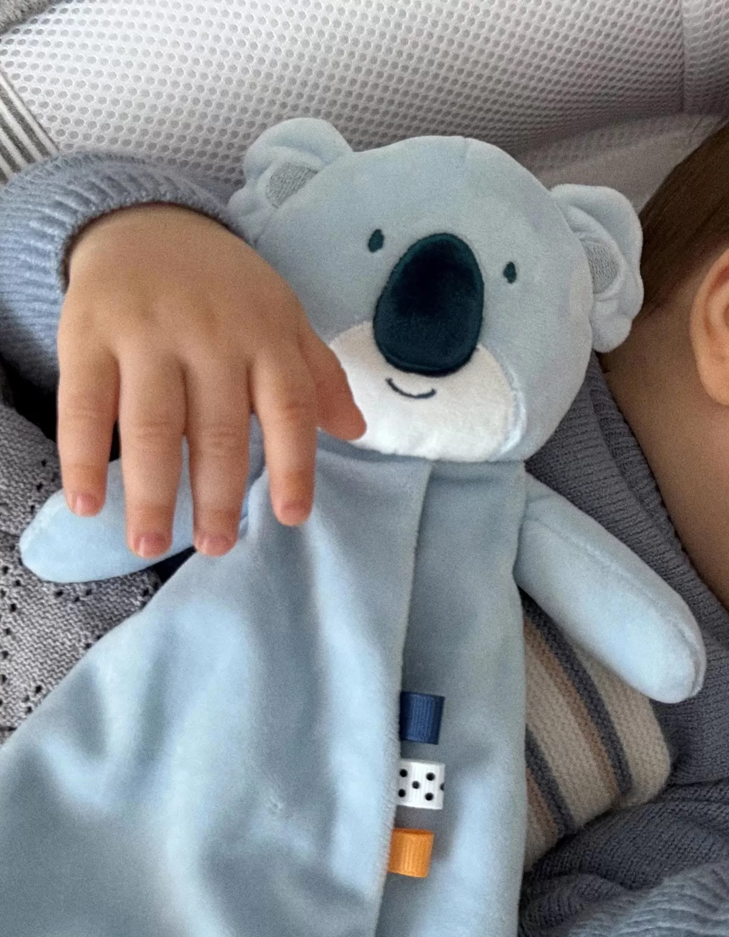 Peluche azul em forma de coala com criança vestindo camisola azul segura o brinquedo.