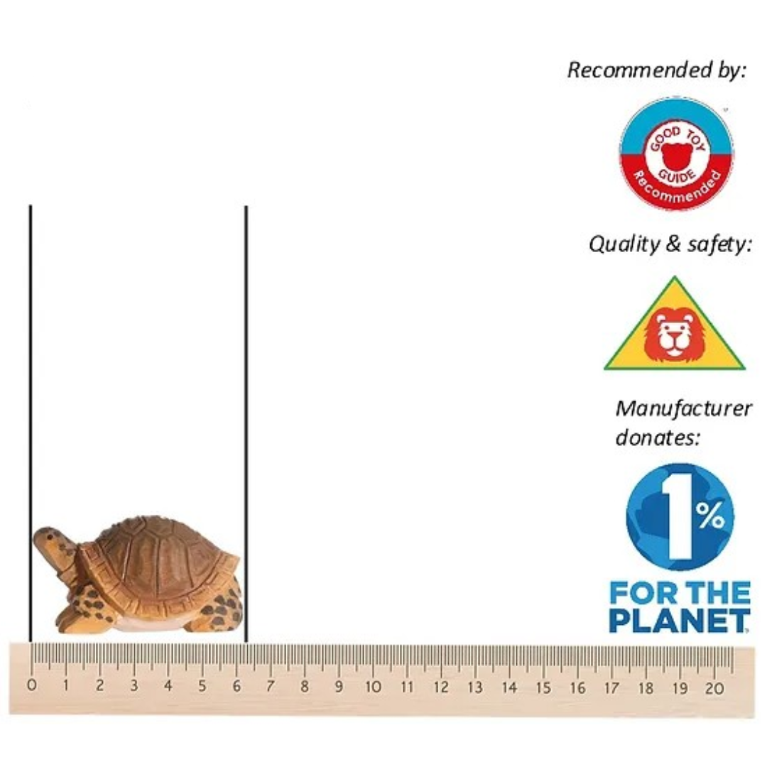 Figurina de tartaruga entre duas linhas verticais com régua e símbolos de qualidade à direita