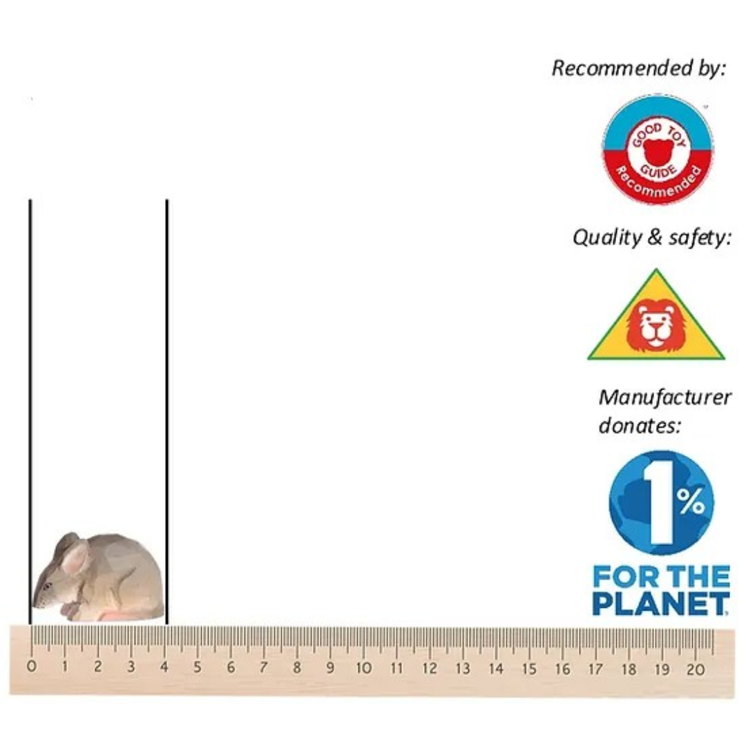 Rato cinzento ao lado de régua de madeira com ícones e texto de recomendações e doações à direita