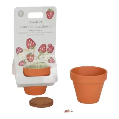 Conjunto para plantar morango com vaso terracota, base cortiça e sementes