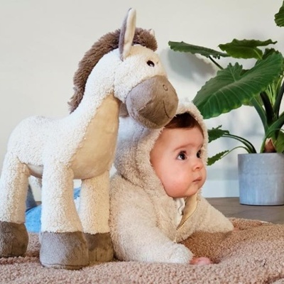 Bebé deitado ao lado de cavalo de peluche e plantas em vasos