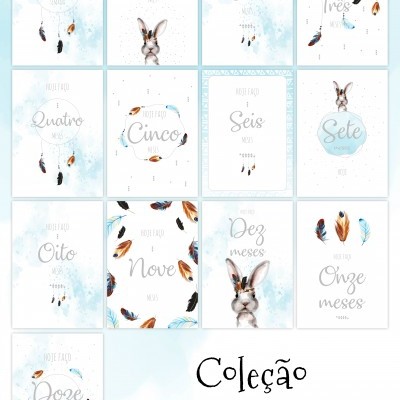 Cartões mensais para bebé com desenhos de penas e animais, texto em português dos meses até 12