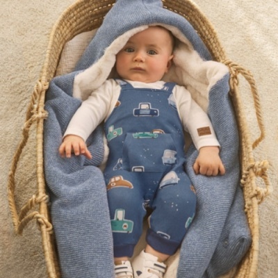 Bebé com roupa azul e branca deitado numa cesta de vime com manta azul e interior branco