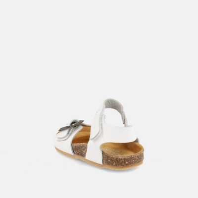 Blanditos&#x20;by&#x20;Crio&#x27;s&#x20;&#x7C;&#x20;Ponza&#x20;&#x28;Champan&#x29;