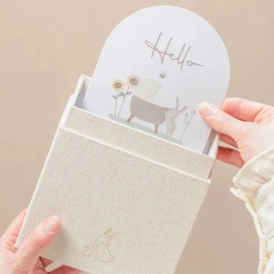 Little&#x20;Dutch&#x20;&#x7C;&#x20;Cart&#x00F5;es&#x20;de&#x20;crescimento