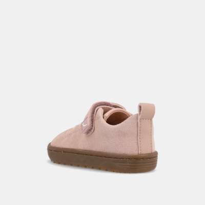 Blanditos&#x20;by&#x20;Crio&#x27;s&#x20;&#x7C;&#x20;Azores&#x20;&#x28;Rosa&#x29;