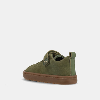 Blanditos&#x20;by&#x20;Crio&#x27;s&#x20;&#x7C;&#x20;Azores&#x20;&#x28;LIQUEN&#x29;