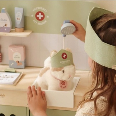 Little&#x20;dutch&#x20;&#x7C;&#x20;Cl&#x00ED;nica&#x20;veterin&#x00E1;ria