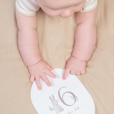 Little&#x20;Dutch&#x20;&#x7C;&#x20;Cart&#x00F5;es&#x20;de&#x20;crescimento