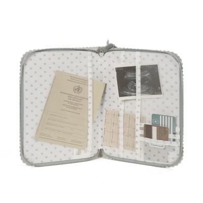 Pasito&#x20;a&#x20;Pasito&#x20;&#x7C;&#x20;Porta&#x20;Documentos&#x20;Icon&#x20;Green&#x20;-&#x20;Verde