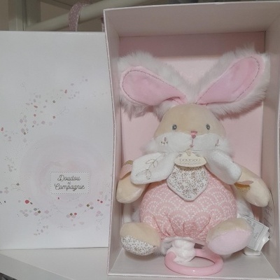 Coelho de peluche rosa e creme dentro de caixa branca decorada.