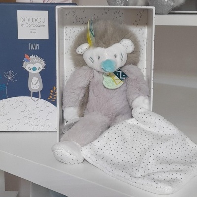 Pelúcia cinza de papagaio com manta branca e caixa azul com texto e desenho