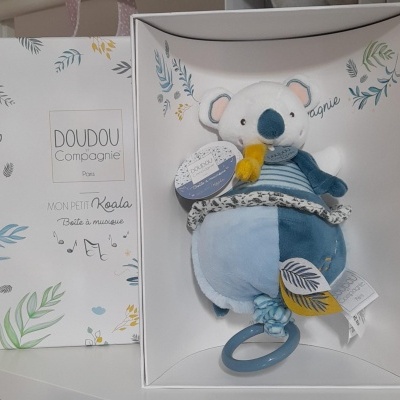 Pelúcia de coala azul e branca com anel azul em caixa branca decorada com folhas
