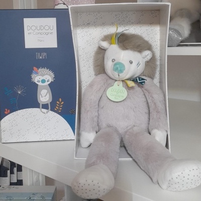 Urso de peluche cinzento na caixa branca e azul com texto e ilustração