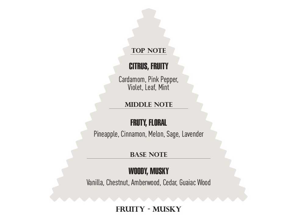 Diagrama triangular com notas olfativas de perfume: Top Note, Middle Note, Base Note e texto FRUITY - MUSKY