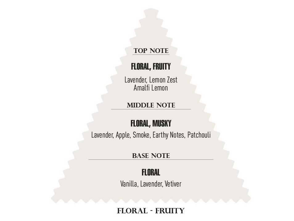 Gráfico em triângulo com descrições de notas olfativas de perfume