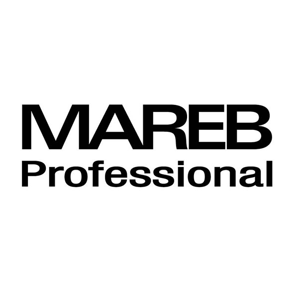 Logótipo MAEB Professional
