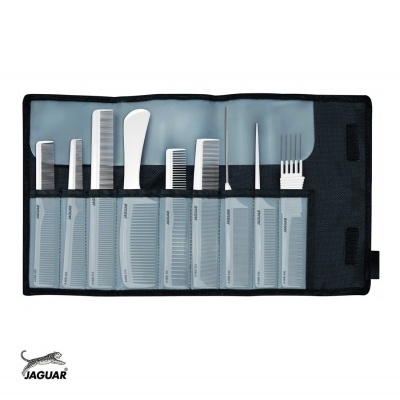 Conjunto de 10 pentes variados num estojo preto com bolsos transparentes