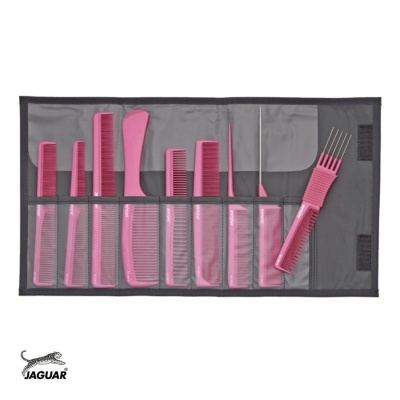 Conjunto de pentes cor-de-rosa em bolsa cinzenta