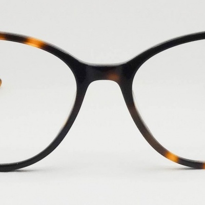 óculos com armação padrão tartaruga castanha e preta