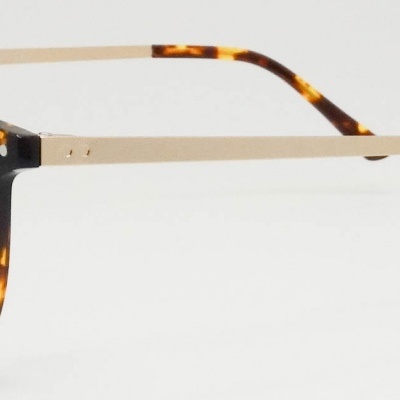 Óculos de armação redonda padrão tartaruga com hastes douradas