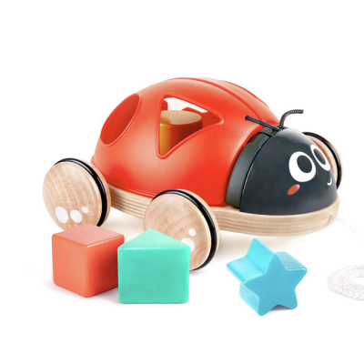 Joaninha&#x20;e&#x20;as&#x20;Formas