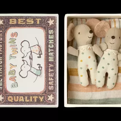 Twins,&#x20;Baby&#x20;mice&#x20;in&#x20;Matchbox