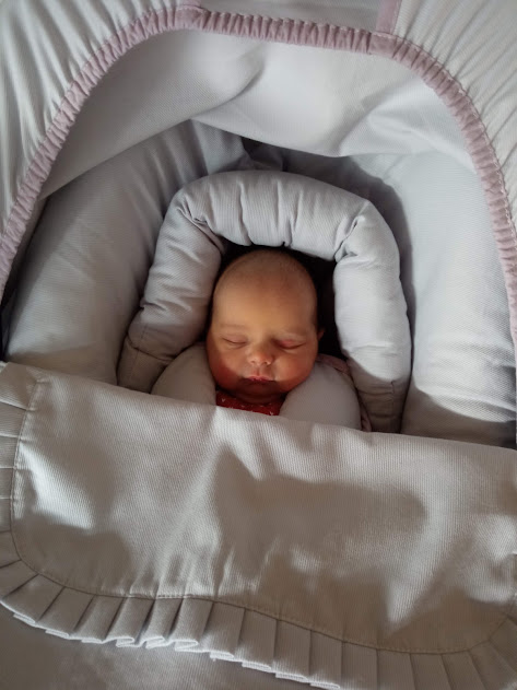 Bebé a dormir numa alcofa branca com bordas rosas