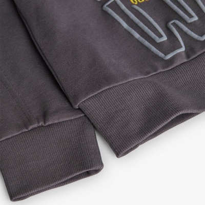 Mangas de sweatshirt cinzentas com punhos canelados e bordados
