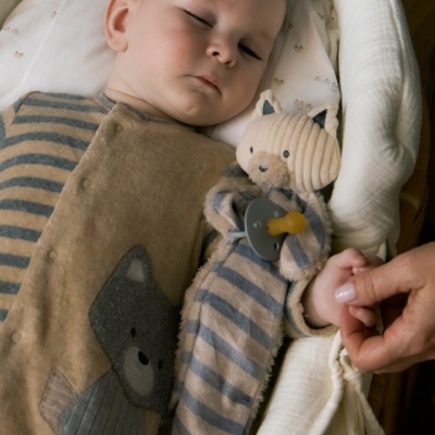 Bebé a dormir com pijama e brinquedo de peluche às riscas, mão segura o seu braço.