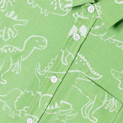 https://www.bebelar.pt/product/camisa-manga-curta-verde-dinossauros