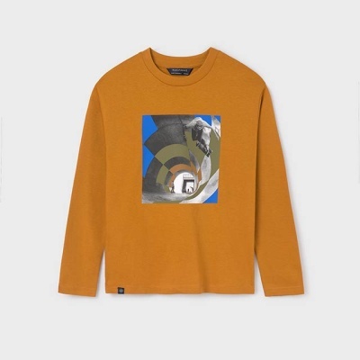 Camisola castanho alaranjado com estampa frontal de escultura de cavalo em túnel