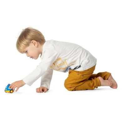 Criança a brincar com carrinho de brinquedo azul e amarelo