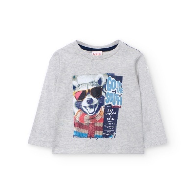 Camisola cinzenta com estampa de guaxinim de óculos e cachecol colorido.