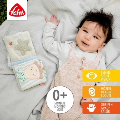 Bebé deitado com brinquedo macio ao lado e texto sobre meses e sentidos