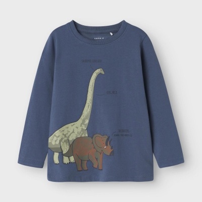 Camisola infantil azul com dinossauros e texto impresso