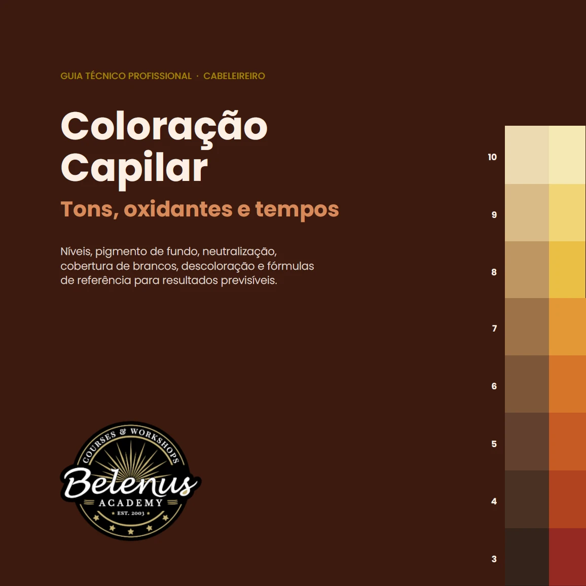 Guia: Coloração Capilar (PDF) Guia técnico profissional sobre coloração capilar com explicações e paleta de cores em tons castanhos e amarelos.